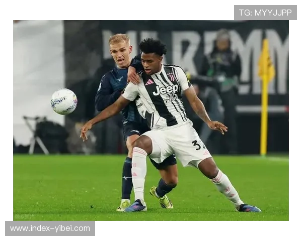 尤文图斯2-2拉齐奥:麦肯尼、卡卢卢破门,斑马军团主场憾平 尤文图斯2-2拉齐奥:麦肯尼、卡卢卢破门,斑马军团主场憾平